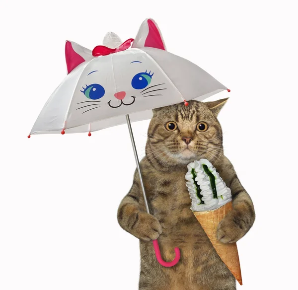 Beige Big Eyed Cat Cone Ice Cream Walking Funny Umbrella — Stock Photo, Image