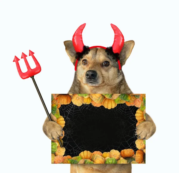 Der Beige Hund Mit Den Roten Hörnern Hält Einen Teufelsdreizack — Stockfoto