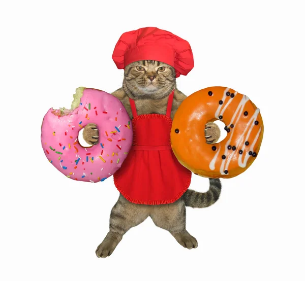 Der Beige Katzenbäcker Mit Roter Kochmütze Und Kochschürze Hält Donuts — Stockfoto