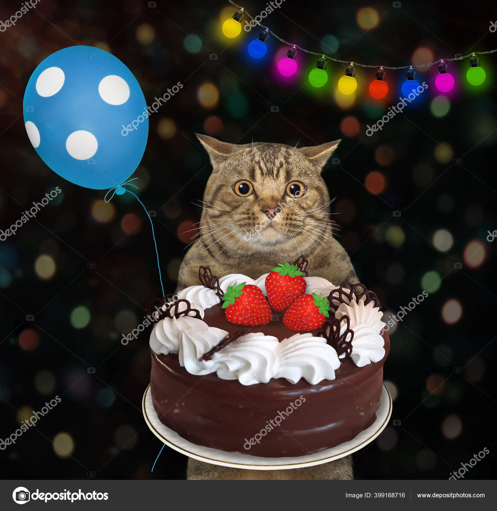 Gros Chat Aux Yeux Beige Avec Ballon Bleu Tient Gateau Image Libre De Droit Par Iridi C Gros Chat Aux Yeux Beige Avec Ballon Bleu Tient Gateau Image Libre De Droit Par Iridi C