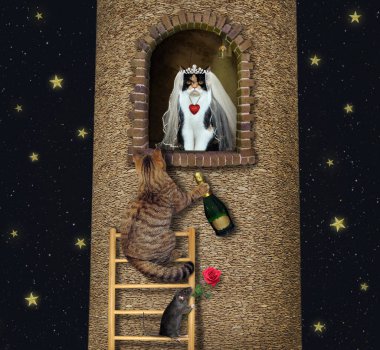 Geceleri elinde bir şişe şarapla kedi tahta bir merdivenden çıkıp gelininin olduğu yüksek kuleye çıkar..