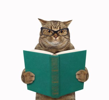 Gözlüklü bej kedi açık yeşil bir kitapla ayakta duruyor. Beyaz arka plan. İzole edilmiş.