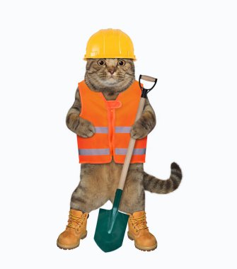 Yelek, kask ve bot giyen bej renkli kedi işçisi bir kürek tutuyor. Beyaz arka plan. İzole edilmiş.