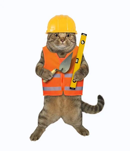 Gato Beige Trabajador Chaleco Casco Botas Está Sosteniendo Nivel Una — Foto de Stock