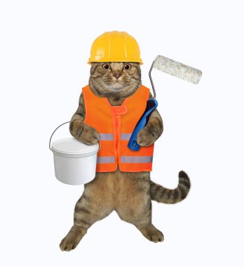 Yelek, kask ve bot giyen bej renkli kedi işçisi bir tekerlekli fırça ve plastik boya kutusu tutuyor. Beyaz arka plan. İzole edilmiş.