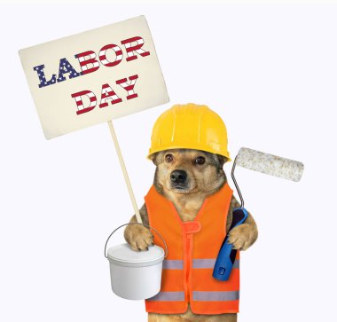 Yelek ve kask giyen bej köpek işçisi elinde tekerlekli fırça, plastik boya kutusu ve İşçi Bayramı tabelası tutuyor. Beyaz arka plan. İzole edilmiş.
