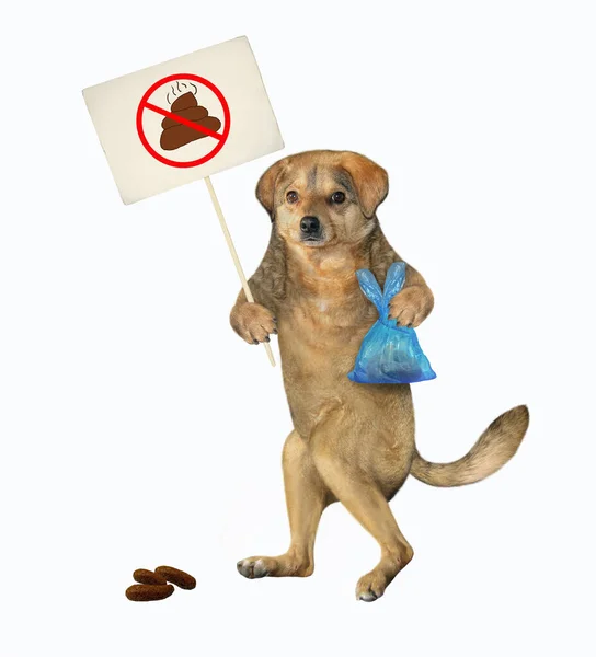 Beżowy Pies Trzyma Niebieską Plastikową Torbę Kupą Tabliczkę Napisem Posprzątać — Zdjęcie stockowe
