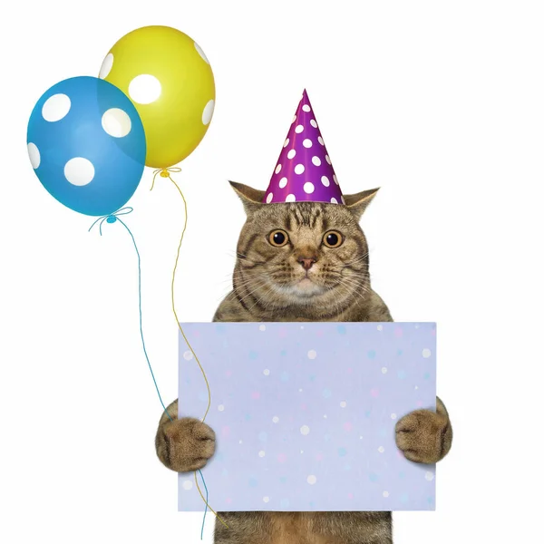 Beżowy Duży Kot Kapeluszu Imprezowym Kolorowymi Balonami Trzyma Pusty Świąteczny — Zdjęcie stockowe