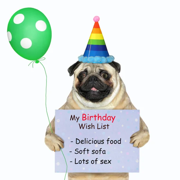 Pies Kapeluszu Zielonym Balonem Trzyma Listę Życzeń Urodzinowych Białe Tło — Zdjęcie stockowe