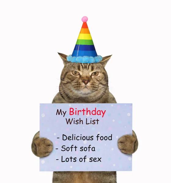 The beige cat in a party hat is holding a birthday wish list. White background. Isolated.