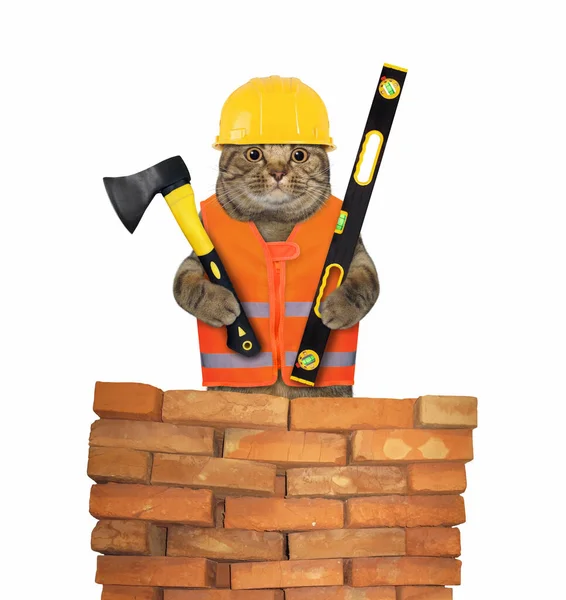 Робочий Кіт Жилеті Шоломі Тримає Будівельну Сокиру Рівень Біля Стіни — стокове фото