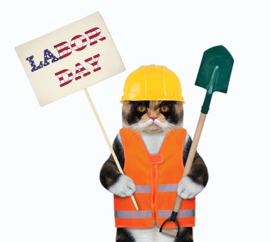 Yelek ve kask takan çok renkli kedi işçisi elinde kürek ve İşçi Bayramı tabelası tutuyor. Beyaz arka plan. İzole edilmiş.