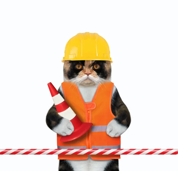 Cat Road Worker Vest Helmet Holding Traffic Cone Stop Tape — Stock Photo, Image