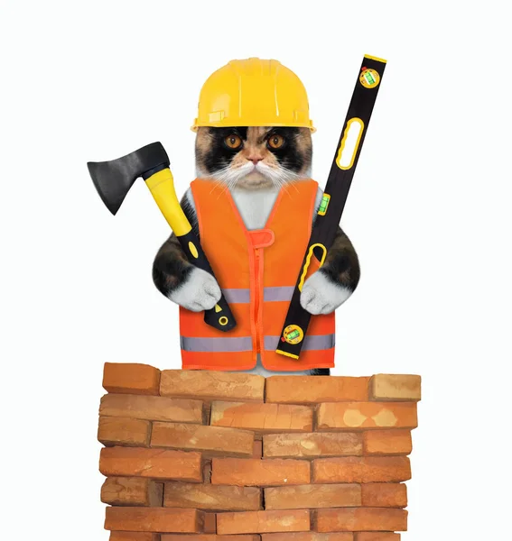 Trabalhador Gato Colete Capacete Está Segurando Machado Construção Nível Perto — Fotografia de Stock