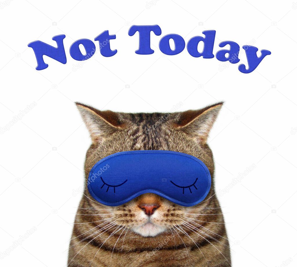 The beige cat put on blue sleep mask. Not today. White background. Isolated.