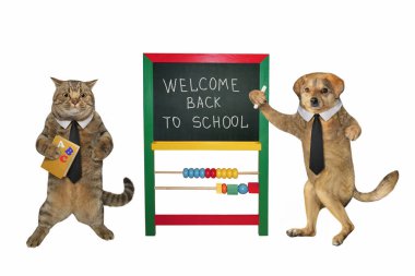 Bir bej kedi ve bir köpek okula hoş geldin mesajı ile karatahtanın yanında duruyorlar. Beyaz arka plan. İzole edilmiş.