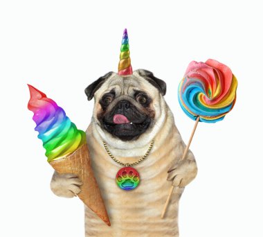 Bej renkli pug dog unicorn bir lolipop ve bir gökkuşağı dondurması tutuyor. Beyaz arka plan. İzole edilmiş.