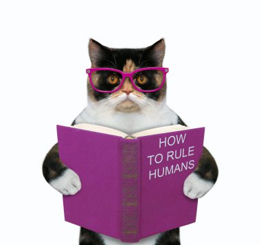 Gözlüklü çok renkli kedi, insanlara nasıl hükmedeceklerini anlatan açık mor bir kitapla duruyor. Beyaz arka plan. İzole edilmiş.