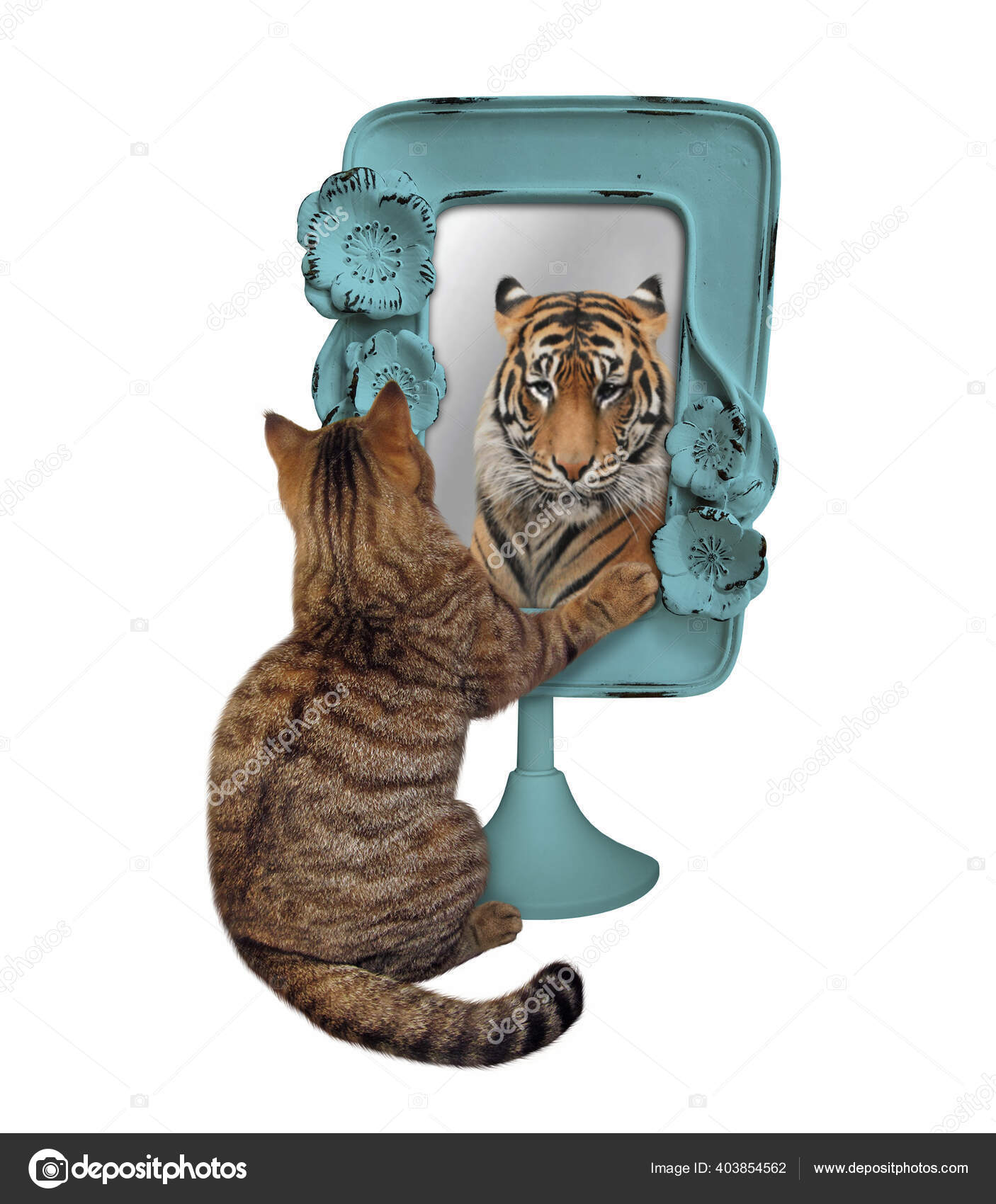 Photos De Lion Chat Miroir Images De Lion Chat Miroir Depositphotos Photos De Lion Chat Miroir Images De Lion Chat Miroir Depositphotos