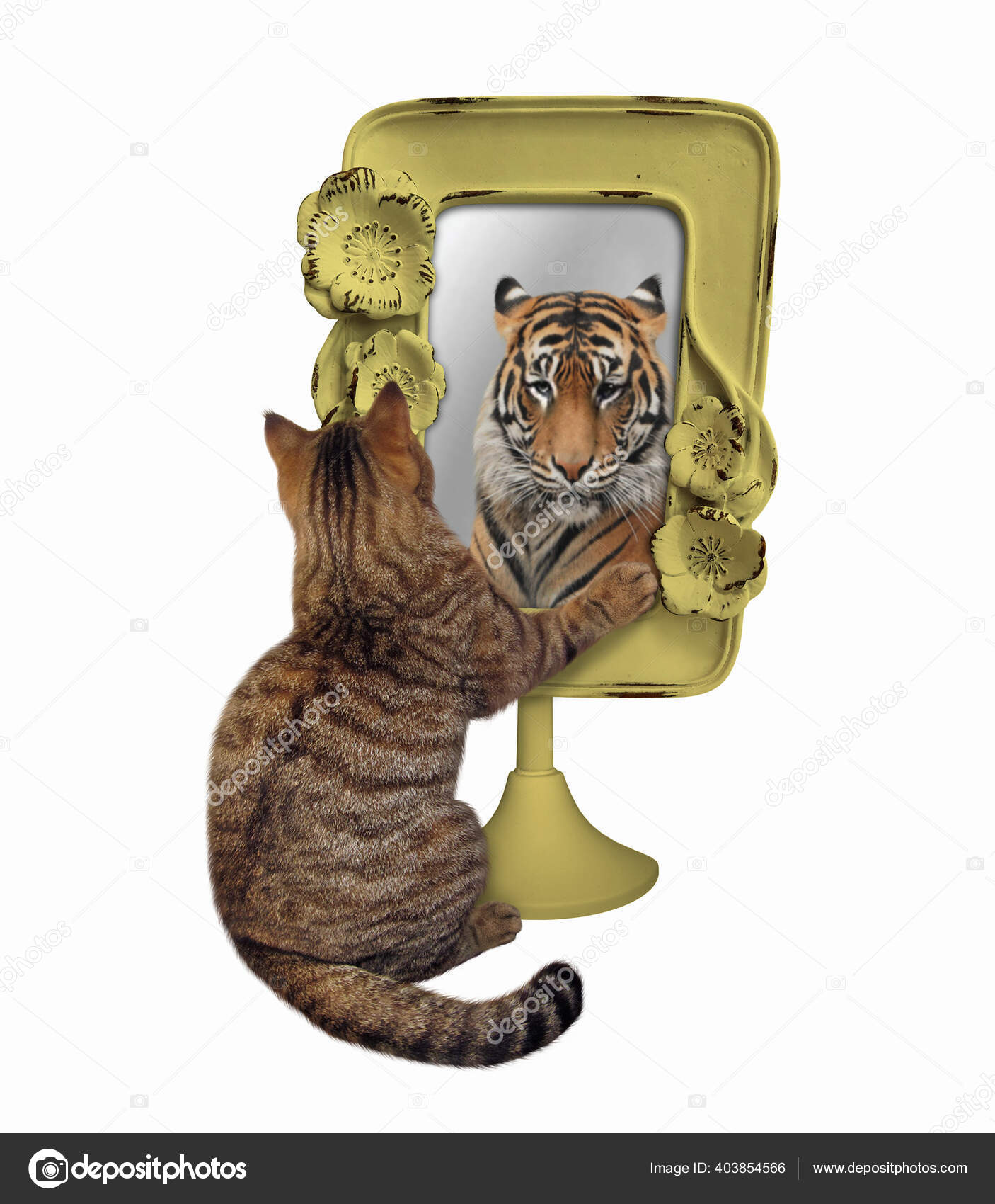 Photos De Lion Chat Miroir Images De Lion Chat Miroir Depositphotos Photos De Lion Chat Miroir Images De Lion Chat Miroir Depositphotos