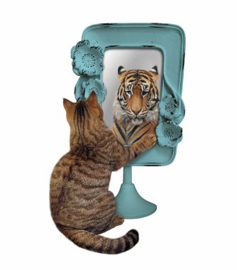 Bej renkli kedi mavi çerçeveli bir aynaya bakar. Orada bir kaplan görüyor. Beyaz arka plan. İzole edilmiş.