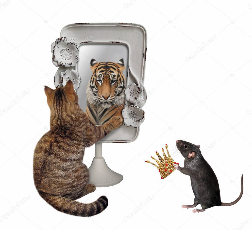 A cat stares his reflection in a mirror. He sees a tiger there. A rat gives a gold crown to him. White background. Isolated.