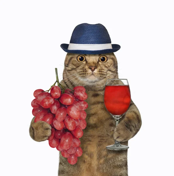 Beige Storögd Katt Hatt Håller Ett Gäng Druvor Och Ett — Stockfoto