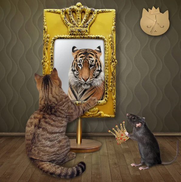 ベージュの猫は家の鏡に映る姿を見つめている 彼はそこでトラを見る ネズミが黄金の冠を彼に与える — ストック写真