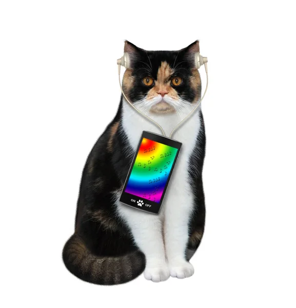 Multi Colored Cat Headphones Listening Music Smartphone White Background Isolated — Stock Photo, Image