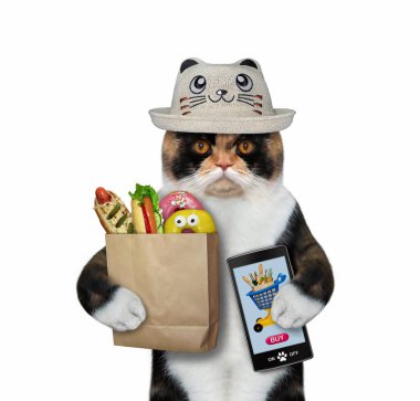 Komik şapkalı çok renkli bir kedi cep telefonundan yemek sipariş ediyor. Beyaz arka plan. İzole edilmiş.