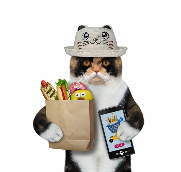 一只戴着滑稽帽子的五颜六色的猫从手机里订购食物 白色背景 被隔离了 — 图库照片