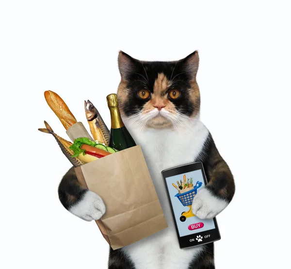 Mnohobarevná Kočka Objednává Jídlo Mobilu Bílé Pozadí Izolované — Stock fotografie