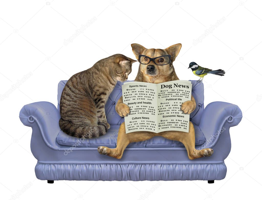 A beige dog in glasses and a cat are sitting on a divan and reading a newspaper. A bird is next to them. White background. Isolated.