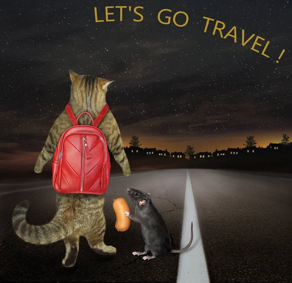 Eine Katze Mit Rucksack Und Eine Ratte Laufen Nachts Auf — Stockfoto