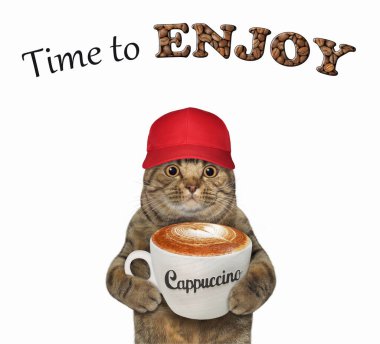 Kırmızı şapkalı bej renkli büyük gözlü bir kedi bir fincan kapuçino tutuyor. Tadını çıkarma zamanı. Beyaz arka plan. İzole edilmiş.