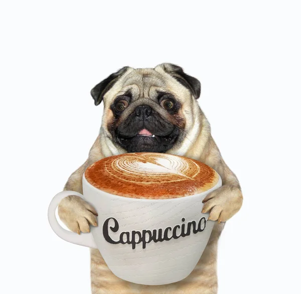 Bir Pug Dog Bir Fincan Cappuccino Tutuyor Beyaz Arka Plan — Stok fotoğraf