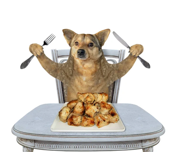 Beżowy Pies Nożem Widelcem Smażone Mięso Kwadratowego Talerza Przy Stole — Zdjęcie stockowe