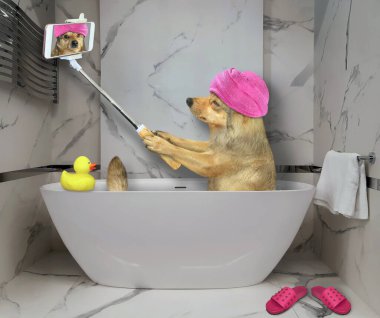 Kafasında pembe bir havlu olan bej bir köpek otelde banyo yapıyor ve selfie çekiyor..