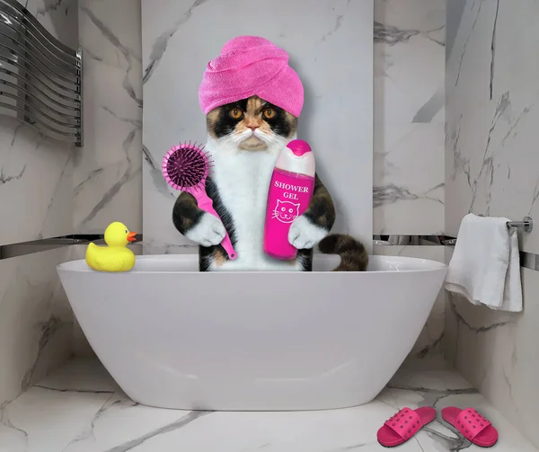 Chat Multicolore Avec Une Serviette Rose Autour Tête Prend Bain — Photo