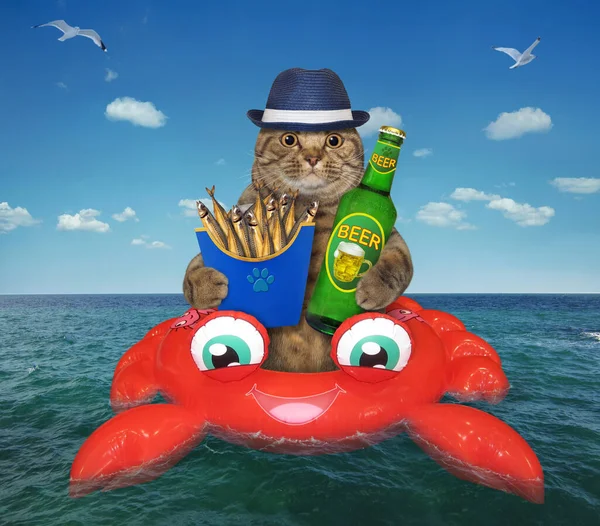 Μια Μπεζ Γάτα Αχυρένιο Καπέλο Πίνει Μπύρα Και Τρώει Καπνιστό — Φωτογραφία Αρχείου