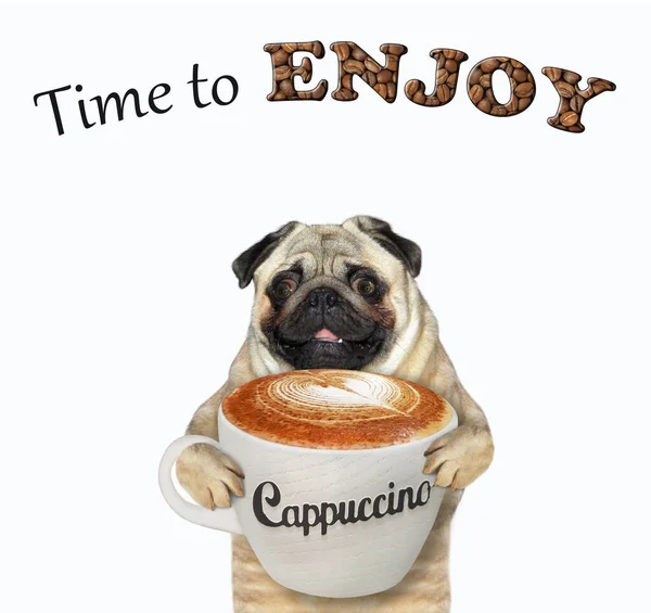 Bir Pug Dog Bir Fincan Cappuccino Tutuyor Tadını Çıkarma Zamanı — Stok fotoğraf