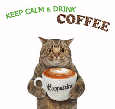 Bej renkli büyük gözlü bir kedi bir fincan kapuçino tutuyor. Sakin ol ve kahve iç. Beyaz arka plan. İzole edilmiş.