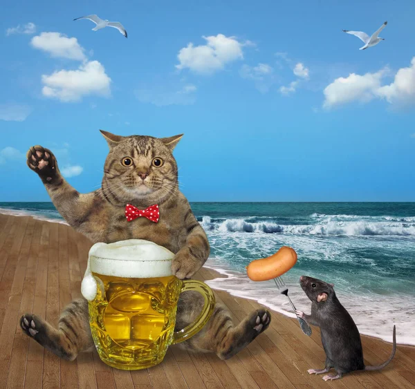 Μια Μπεζ Γάτα Μεγάλα Μάτια Πίνει Μπύρα Από Μια Μεγάλη — Φωτογραφία Αρχείου