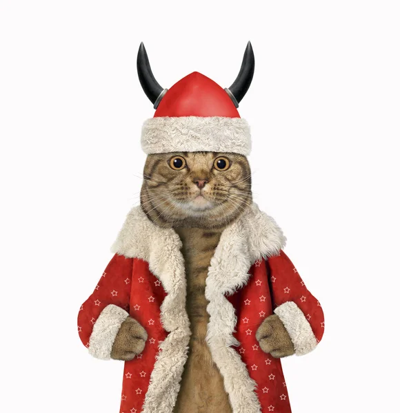 Grande Gato Bege Papai Noel Usa Capacete Viking Com Chifres — Fotografia de Stock