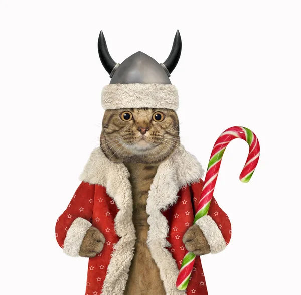 Gato Bege Olhos Grandes Papai Noel Capacete Viking Com Chifres — Fotografia de Stock