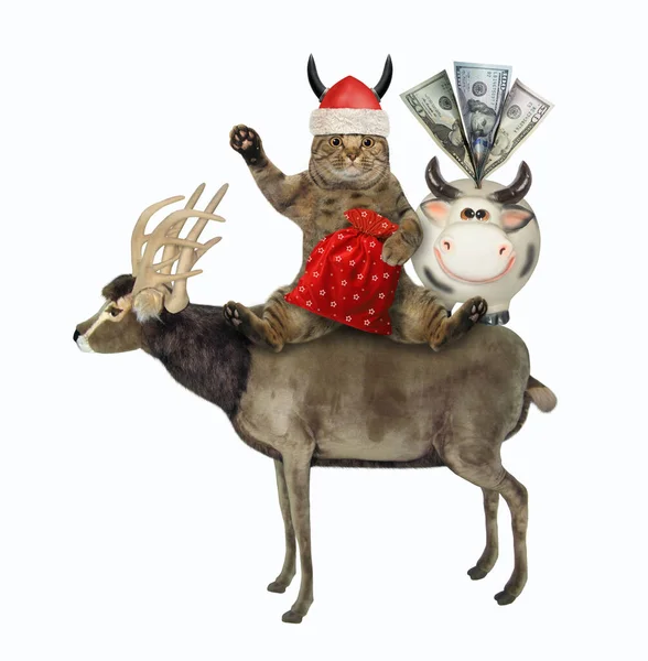 Gato Santa Claus Casco Vikingo Con Regalos Navidad Una Vaca —  Fotos de Stock