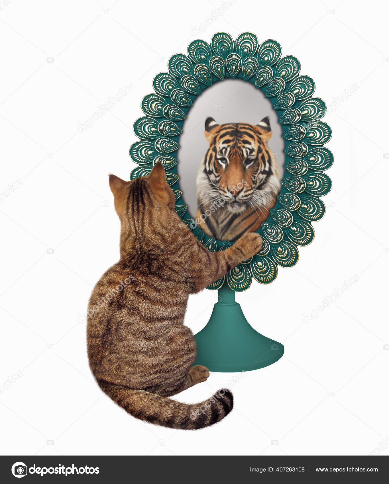Photos De Lion Chat Miroir Images De Lion Chat Miroir Depositphotos