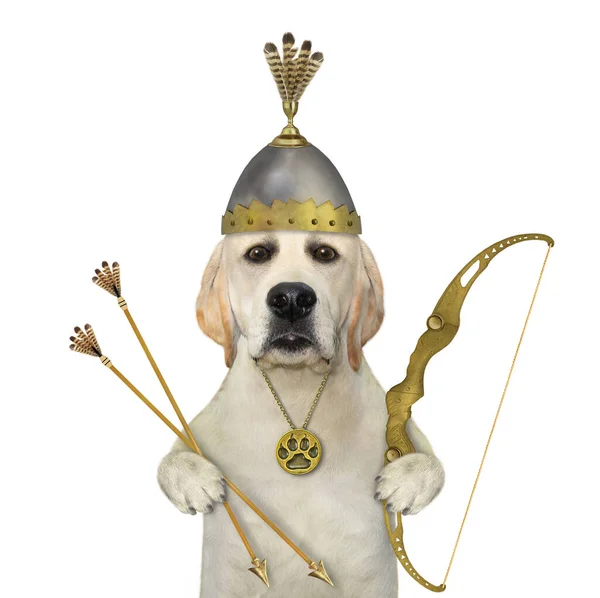 Ein Hund Ritterhelm Mit Federn Ist Mit Pfeil Und Bogen — Stockfoto