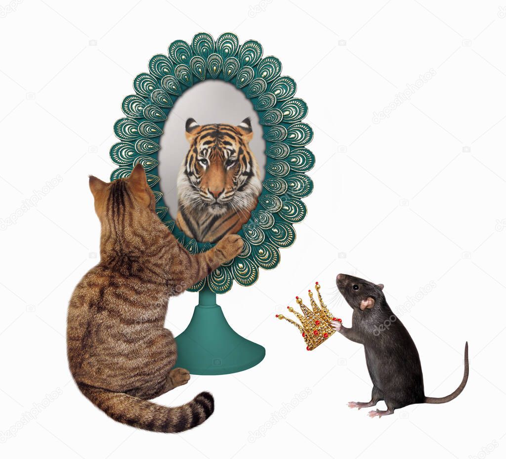 A cat stares his reflection in a mirror. He sees a tiger there. A rat gives a gold crown to him. White background. Isolated.