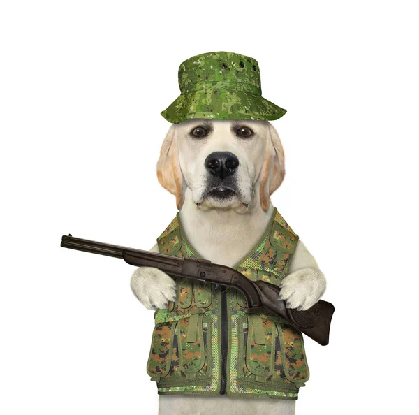 Chien Uniforme Militaire Tient Fusil Fond Blanc Isolé — Photo